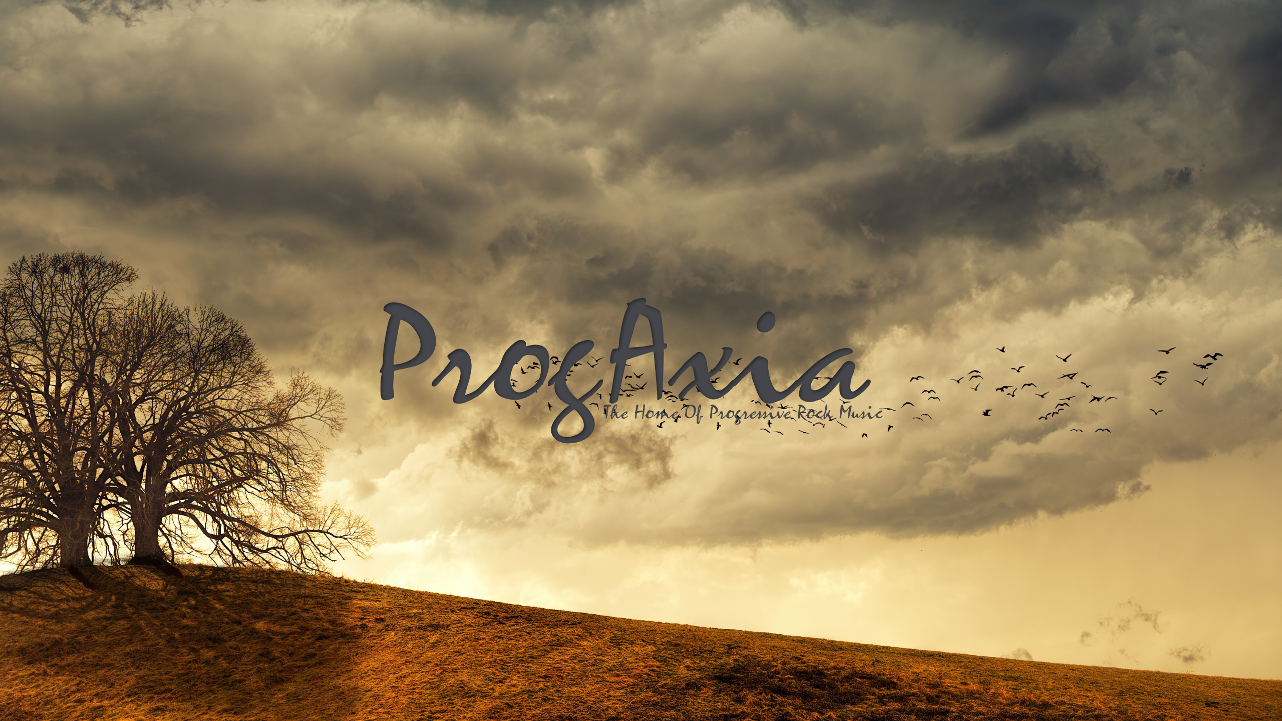 ProgAxia
